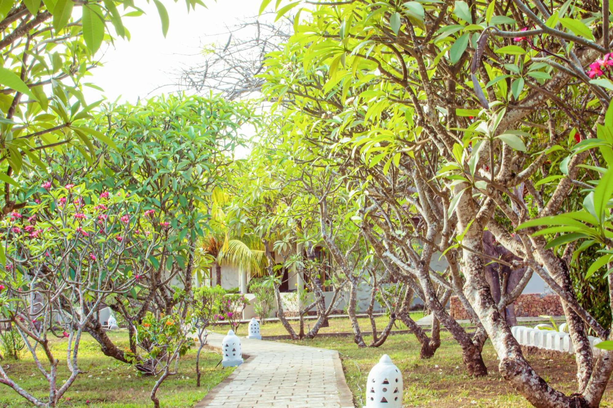 Mandarin Resort Zanzibar Kizimkazi Exteriér fotografie