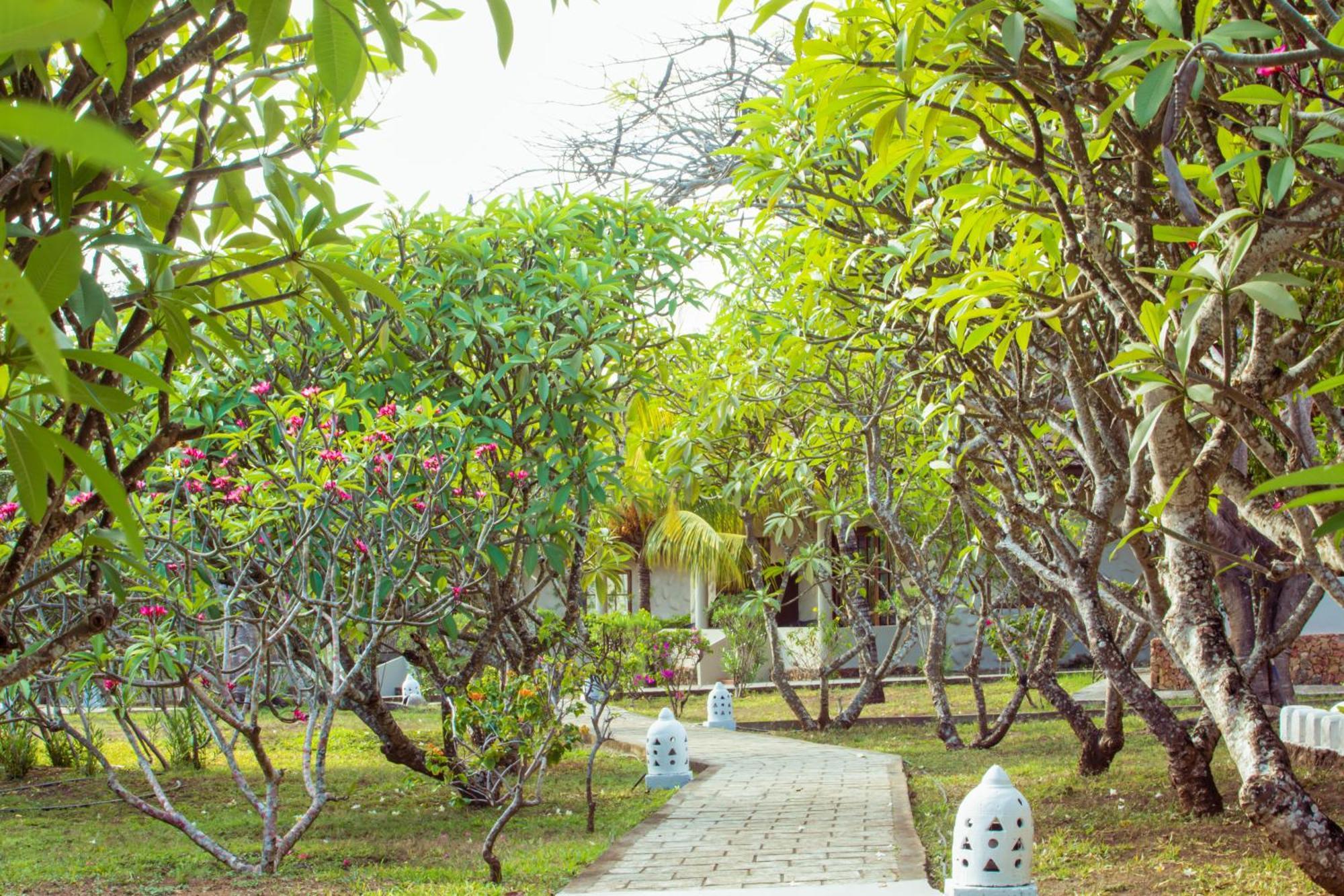 Mandarin Resort Zanzibar Kizimkazi Exteriér fotografie